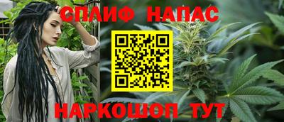 крисы Кунгур