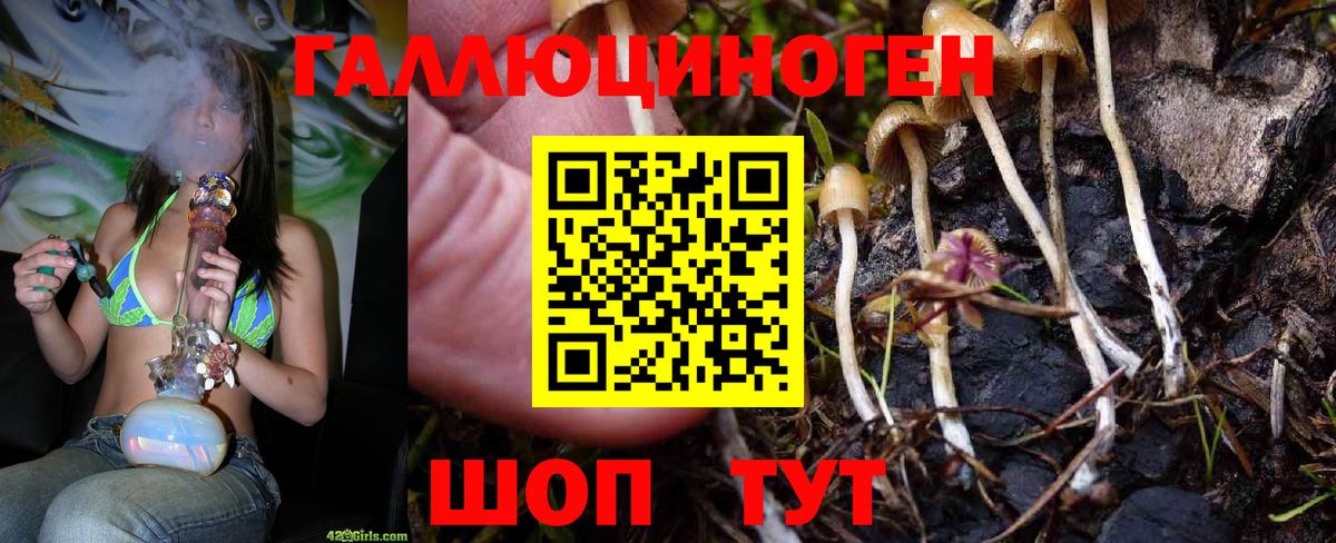 Галлюциногенные грибы Magic Shrooms Дербент